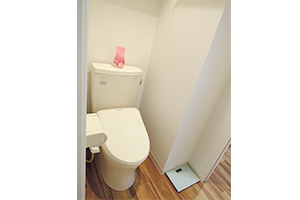 toilet