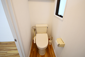 toilet